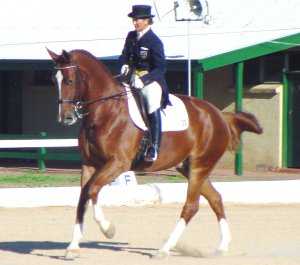 gpgaucho1.jpg (19160 bytes)