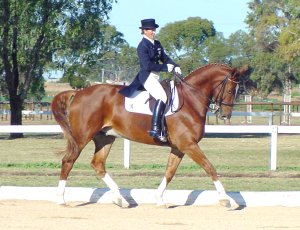 gpgaucho2.jpg (24369 bytes)