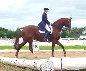 gpmiddletona1.jpg (18008 bytes)