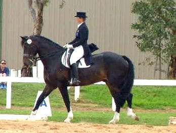 i2avocabs2.jpg (22493 bytes)