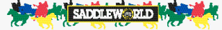 saddleworld320.gif (8341 bytes)