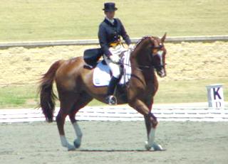 interllamar1.jpg (14385 bytes)