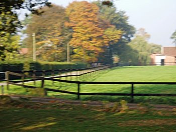 Countryside In Germany