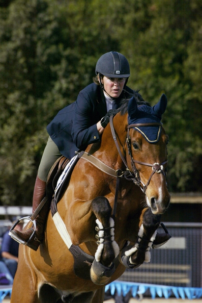 The Virtual Equestrian - Cabooture Indoor Showjumping Championships ...